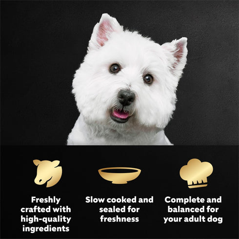 1.76 oz. 20 Count Cesar Filets in Gravy Wet Dog Food, Porterhouse Steak Flavor, Mini-Pouch