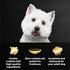 1.76 oz. 20 Count Cesar Filets in Gravy Wet Dog Food, Porterhouse Steak Flavor, Mini-Pouch