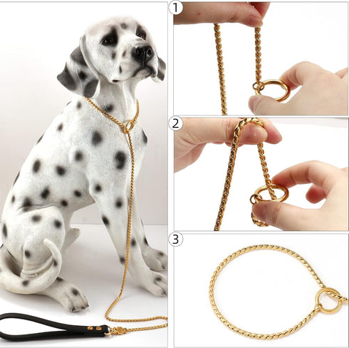 CaptainSteeL Stainless Steel Dog Leash, 3ft/4ft, Integrated Collar and Leash, 5mm Metal for Small and Large Pets
