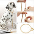 CaptainSteeL Stainless Steel Dog Leash, 3ft/4ft, Integrated Collar and Leash, 5mm Metal for Small and Large Pets