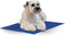 K&H Pet Products Summer Cooling Mat, Blue Medium 20" x 15" - Non-Toxic, Easy Carry, Outdoor Dog Cooling Pad for Cats &