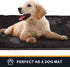 PURRUGS Dirt Trapper Door Mat, 20" x 31.5", Non-Skid Microfiber Entrance Rug for Muddy Shoes and Paws