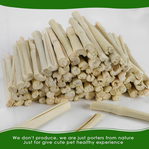 1000g Chinchilla BWOGUE Pet Snacks Sweet Bamboo Chew Toy for Squirrel Rabbits Guinea Pigs Hamster