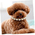 Pet Pearl Collar, Cat Pearl Necklace, Artificial Pearl Collars for Dogs, Crystal Neck Strap for Puppies