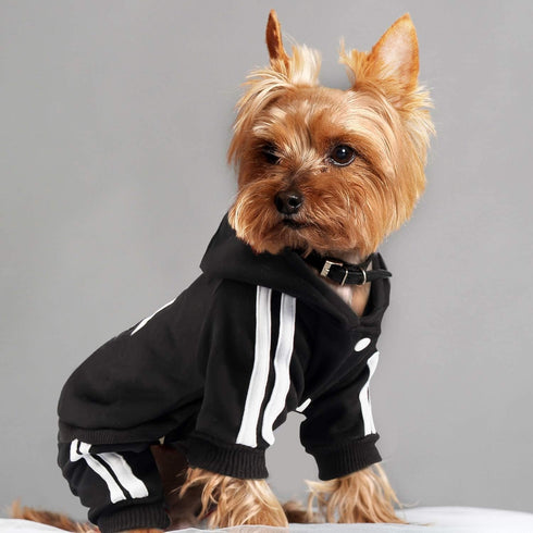 Cute Dog Hoodie Pajamas Tracksuit Coat for Winter, 4-Legs Black Clothing for Cat Puppy Small Medium Big Dogs (X-Small)