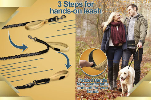 SparklyPets Hands Free Dog Leash for Medium and Large Dogs, Professional Harness for Training and Jogging (Premium Gold