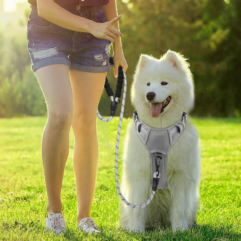 BARKBAY No Pull Dog Harness with ID Tag Pocket - Heavy Duty, Reflective, Easy Control for Large Dogs (Grey, M)