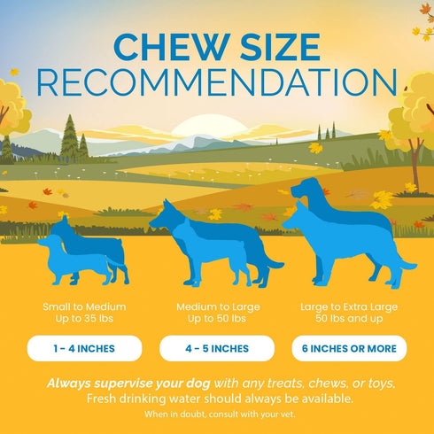 Filled Cow Hooves for Dogs, Stuffed Natural Beef Hoof Chews, Delicious Beef Flavor, Pack of 3 Count, Premium Brazilian