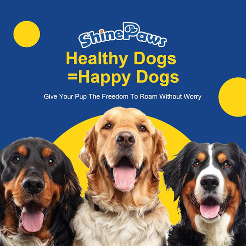 3 3 6 9 120ct Omega for Dogs, Salmon Fish Oil for Dogs Skin and Coat Chew with Omega (EPA+DHA), ZINC, BIOTIN