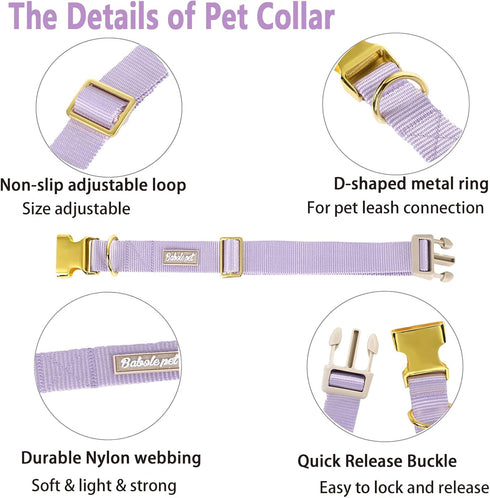 Babole Nylon Dog Collars in Lavender for Small Puppy Dogs, 13 Colors, Adjustable Soft Comfortable Collars with Safety