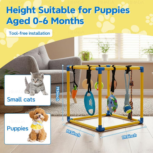HiNADA 8 25 lbs) Puppy Play Gym with Hanging Toys, Small Dogs Indoor Jungle Gym with Squeaky Toys, PVC Frame