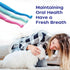 PenVinoo Dual Sided Cat Toothbrush Dog Toothbrush Finger Brush Micro Head, Suitable for Small to Large Dogs & Cats