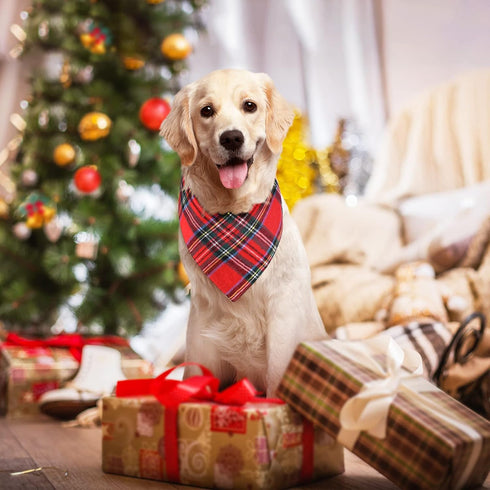2 Pack Set Malier Dog Bandana Christmas Classic Plaid Pets Scarf Triangle Bibs Kerchief Pet Costume Accessories