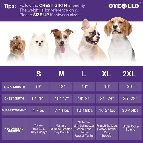 cyeollo Dog Birthday Dress Party Tulle Dresses for Small Dogs Puppy Clothes Girl Pet Cat Holiday Outfit Apparel, Blue, S