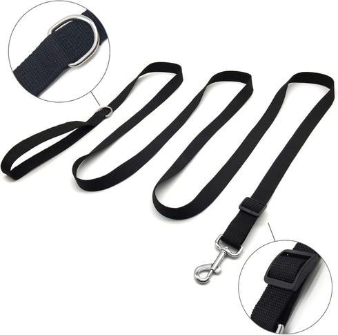 TAIAN Adjustable Nylon Dog Leash, 10 Foot Long Leashes for Medium Large Dogs