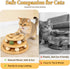 DRAGONCEE Cat Ball Track Toy with Puzzle Top, Interactive Cat Toys for Indoor Cats with Spinning Balls, Wooden Cat Ball
