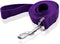 16 Feet Long Nylon Dog Leash, Walking Training Leash for Medium Large Dogs (1" X 16 ft, Purple)