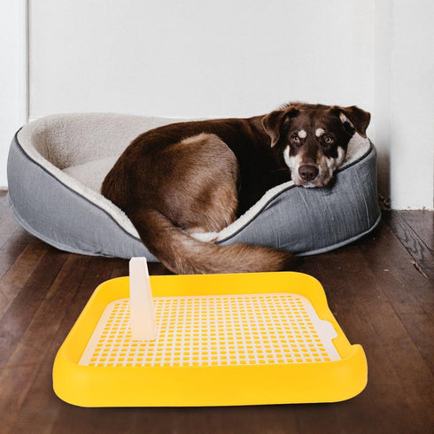 ULTECHNOVO Dog Litter Box Mesh Training Toilet Potty Tray for Puppy and Small Size Dog Indoor Dogs Potty Training Pads