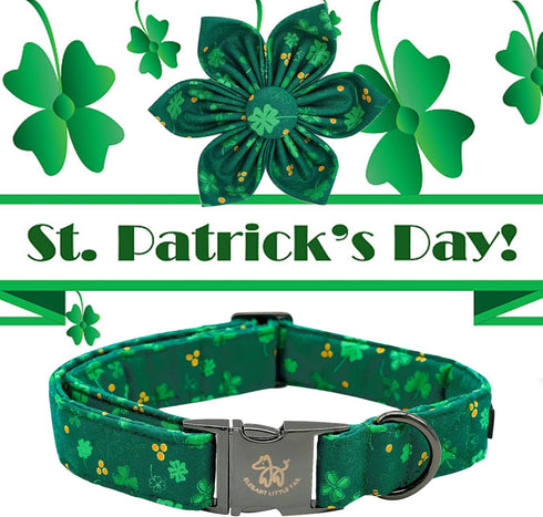Elegant little tail Adjustable St. Patrick's Day Dog Collar with Flower, Green Clover Gift for X-Small Puppy
