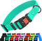 CollarDirect Waterproof Dog Collar - Adjustable Silicone Plastic Collar for Large, Medium, Small Dogs, Mint Green
