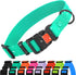 CollarDirect Waterproof Dog Collar - Adjustable Silicone Plastic Collar for Large, Medium, Small Dogs, Mint Green