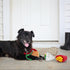 Nocciola Hide and Seek Dog Toys - 3 Pack Interactive Burrow Toys, Snuffle Plush Puppy Toys, Squeaky Toys with Crinkle