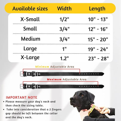 Adityna Leather Dog Collar for Extra-Small Dogs and Puppies, Classic Style, Heavy Duty Black Leather (XS, Neck: 10-13