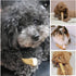 WoofWood Dog Chew Sticks