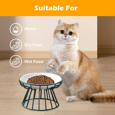 Ceramic Cat Bowls with Metal Stand, 2 Pack Elevated Shallow Dish for Indoor Cats, Puppies, Small Dogs