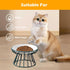 Ceramic Cat Bowls with Metal Stand, 2 Pack Elevated Shallow Dish for Indoor Cats, Puppies, Small Dogs
