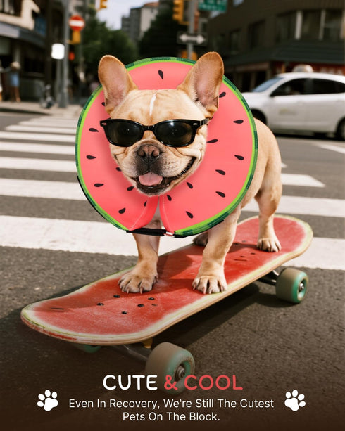 MIDOG Dog Cone Collar for Large Medium Dogs, Soft Inflatable Dog Cone Alternative After Surgery, Adjustable Protective