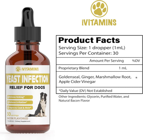 Natural Yeast Infection Treatment for Dogs | Helps to Support Itch Relief, Inflammation Relief & More | Dog Ear Infection Treatment | Dog Itch Relief | Dog Yeast Ear Infection Treatment | 1 fl oz