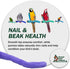 Sweet Feet & Beak Safety Pumice Bird Perch, X-Small 1/2" x 6", Purple - Lightweight Grinding Perches for Healthy Beak &