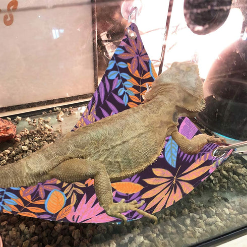 KUDES Bearded Dragon Hammock, Reptile Lizard Lounger Ladder Accessories, Terrarium Habitat Decor for Bearded Dragons,