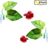 CousDUoBe 2 Pack Betta Fish Leaf Pad - Natural, Organic Rest Area for Fish Aquarium Ornaments