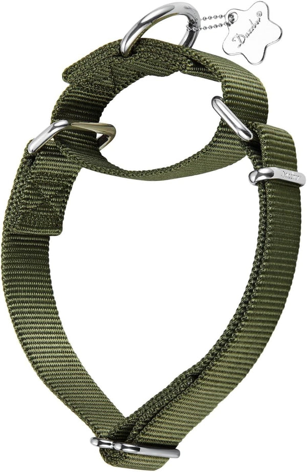 Martingale Dog Collar, Anti-Escape High Density Nylon Adjustable Collar for Medium and Large Dogs - Military Green, M