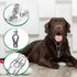 Stainless Steel Dog Training Collar with Quick Release Buckle, Adjustable Chain Collar 26in x 4.0mm (Neck up to 23in) XL