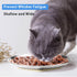 Stainless Steel Cat Dishes for Food and Water, 4 Sets Shallow Style, Relief of Whisker Fatigue