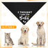 2 Pack Pregnancy Announcement Dog Bandanas, Gender Reveal Pet Scarf Cute Adjustable Reversible Triangle Bandana