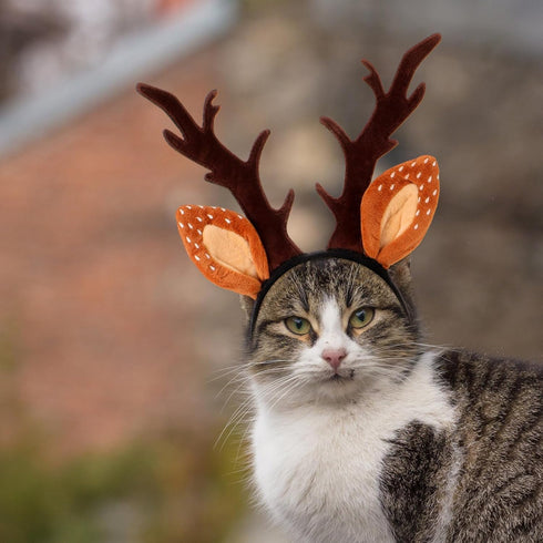 Beaupretty Christmas Hat for Cat Pet Deer Costume, Adjustable Antler Headband for Dog Reindeer Cosplay