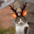 Beaupretty Christmas Hat for Cat Pet Deer Costume, Adjustable Antler Headband for Dog Reindeer Cosplay