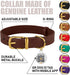 BRONZEDOG Leather Dog Collar - Durable Basic Pet Collar with Metal Buckle for Small Medium Large Dogs (13-16 Inch, Dark