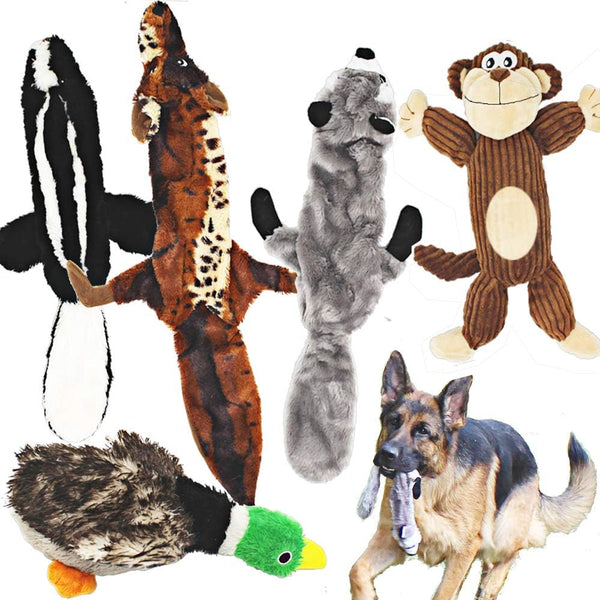 Jalousie 5 Pack Dog Squeaky Toys, Three No Stuffing and Two Plush with Stuffing for Dogs