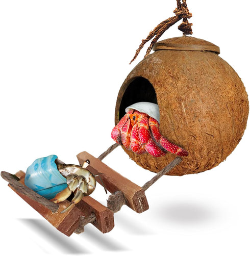 SunGrow Hermit Crab Coco Hut with Ladder, Coconut Hide for Reptiles, Crab Cage Climbing Toys, 5"