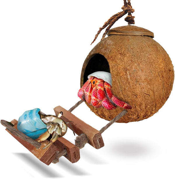SunGrow Hermit Crab Coco Hut with Ladder, Coconut Hide for Reptiles, Crab Cage Climbing Toys, 5"