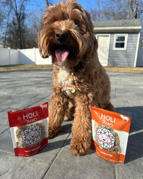 HOLI Freeze Dried Liver Treats for Dogs - All Natural Healthy Beef Liver, 100% Made in USA, Grain Free