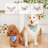 4PCS Spring Dog Bandanas, Cute Soft Cotton Puppy Scarfs, Washable Daily Handkerchief for Small Medium Large Pets