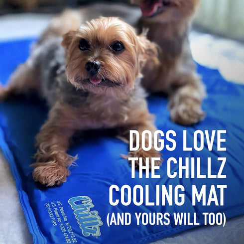 Hugs Pet Products Chillz Gel Mat - Extra Large - Pressure-Activated Cooling Pad - Non-Toxic - Ideal for Home & Travel