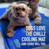 Hugs Pet Products Chillz Gel Mat - Extra Large - Pressure-Activated Cooling Pad - Non-Toxic - Ideal for Home & Travel