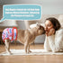 wegreeco Frenchie Dog Diapers Female No Tail Hole,Washable Pet French Puppy Bulldog Diapers Female for Period